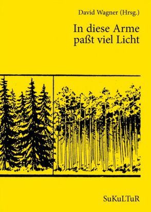 In diese Arme paßt viel Licht von Gripenberg,  Catharina, Haasjoki,  Pauliina, Ihalainen,  J.K., Ijäs,  Kaisa, Kritzokat,  Elina, Liedke,  Klaus-Jürgen, Moster,  Stefan, Oikarinen,  Risto, Salmela,  Aki, Vuorinen,  Katariina, Wagner,  David