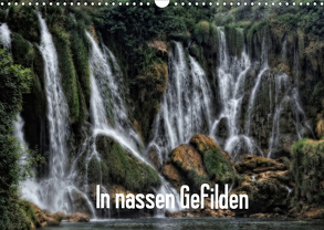 In nassen Gefilden (Wandkalender 2020 DIN A3 quer) von Dolibois,  René