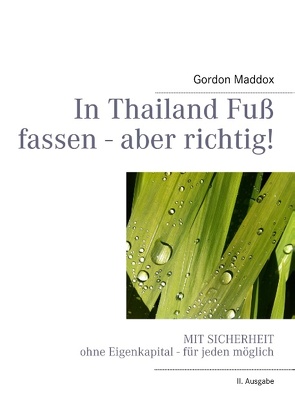 In Thailand Fuß fassen – aber richtig! von Maddox,  Gordon