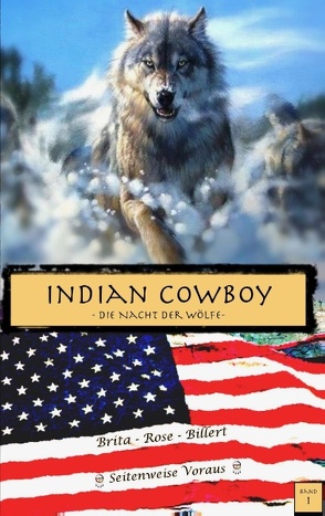 Indian Cowboy von Rose Billert,  Brita