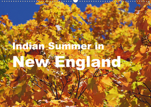 Indian Summer in New England (Wandkalender 2021 DIN A2 quer) von Blass,  Bettina