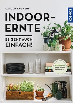 Indoor-Ernte von Engwert,  Carolin