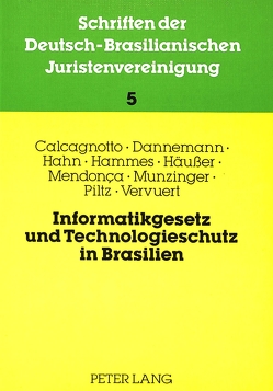 Informatikgesetz und Technologieschutz in Brasilien von Hahn,  Michael