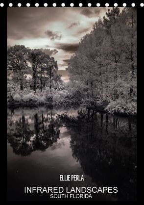 INFRARED LANDSCAPES (Tischkalender 2018 DIN A5 hoch) von PERLA,  ELLIE