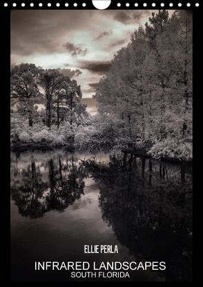 INFRARED LANDSCAPES (Wandkalender 2018 DIN A4 hoch) von PERLA,  ELLIE