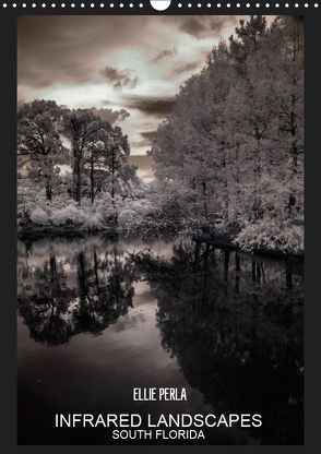 INFRARED LANDSCAPES (Wandkalender 2019 DIN A3 hoch) von PERLA,  ELLIE