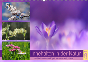 Innehalten in der Natur … mit Weisheiten und Sprichworten der Indianer (Wandkalender 2021 DIN A2 quer) von Michel,  Susan