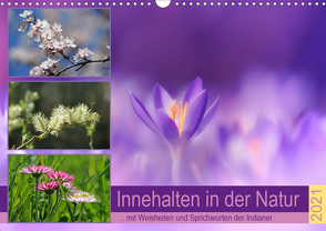 Innehalten in der Natur … mit Weisheiten und Sprichworten der Indianer (Wandkalender 2021 DIN A3 quer) von Michel,  Susan