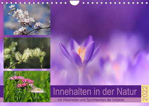 Innehalten in der Natur … mit Weisheiten und Sprichworten der Indianer (Wandkalender 2022 DIN A4 quer) von Michel,  Susan