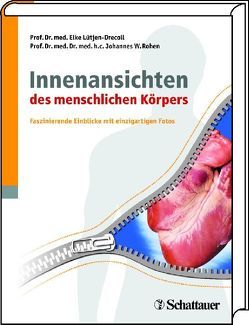 Innenansichten des menschlichen Körpers von Lütjen-Drecoll,  Elke, Rohen,  Johannes W