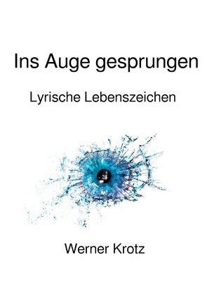 Ins Auge gesprungen von Krotz,  Werner