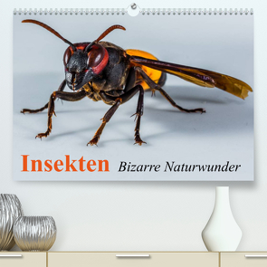 Insekten • Bizarre Naturwunder (Premium, hochwertiger DIN A2 Wandkalender 2022, Kunstdruck in Hochglanz) von Stanzer,  Elisabeth