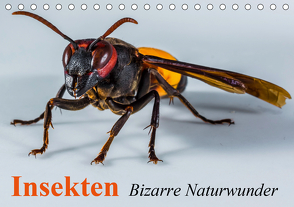 Insekten • Bizarre Naturwunder (Tischkalender 2021 DIN A5 quer) von Stanzer,  Elisabeth