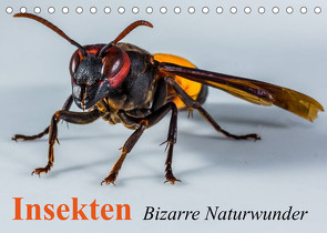 Insekten • Bizarre Naturwunder (Tischkalender 2022 DIN A5 quer) von Stanzer,  Elisabeth