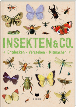 INSEKTEN & Co. von roots, van der Avoort,  Birgit