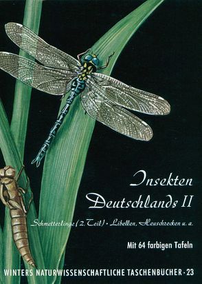 Insekten Deutschlands / Schmetterlinge von Brandt,  H