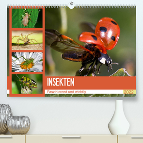 Insekten. Faszinierend und wichtig (Premium, hochwertiger DIN A2 Wandkalender 2022, Kunstdruck in Hochglanz) von Stanzer,  Elisabeth