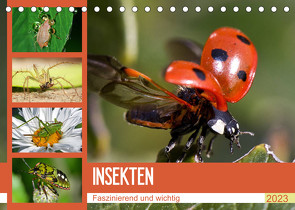 Insekten. Faszinierend und wichtig (Tischkalender 2023 DIN A5 quer) von Stanzer,  Elisabeth