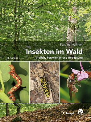 Insekten im Wald von Wermelinger,  Beat