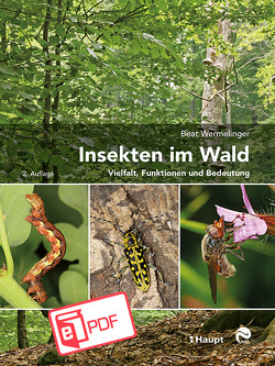 Insekten im Wald von Wermelinger,  Beat