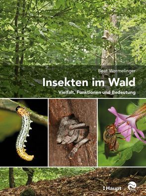 Insekten im Wald von Wermelinger,  Beat