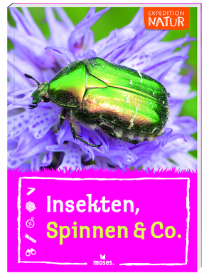 Insekten, Spinnen & Co. von Kolb,  Arno, Küpper,  Anke