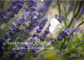 Insekten und Blüten – Bienen, Libellen und mehr (Wandkalender 2022 DIN A2 quer) von Wilms,  Barbara