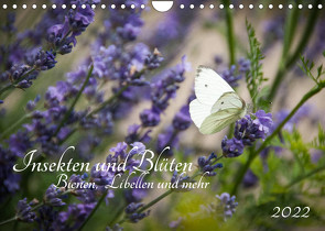 Insekten und Blüten – Bienen, Libellen und mehr (Wandkalender 2022 DIN A4 quer) von Wilms,  Barbara