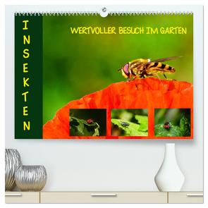 Insekten – wertvolle Gäste im Garten (hochwertiger Premium Wandkalender 2024 DIN A2 quer), Kunstdruck in Hochglanz von Schmidt,  Brinja