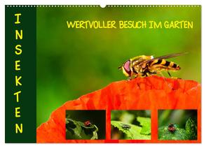 Insekten – wertvolle Gäste im Garten (Wandkalender 2024 DIN A2 quer), CALVENDO Monatskalender von Schmidt,  Brinja