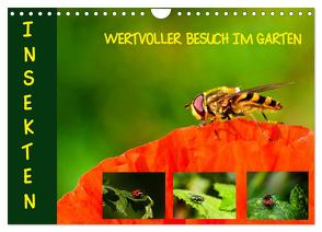 Insekten – wertvolle Gäste im Garten (Wandkalender 2024 DIN A4 quer), CALVENDO Monatskalender von Schmidt,  Brinja