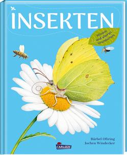 Insekten – Wissen und allerlei Drumherum von Oftring,  Bärbel, Windecker,  Jochen