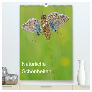 Insekten,Schönheiten der Natur (hochwertiger Premium Wandkalender 2024 DIN A2 hoch), Kunstdruck in Hochglanz von Blum,  Jürgen