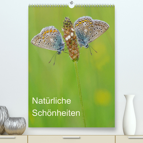 Insekten,Schönheiten der Natur (Premium, hochwertiger DIN A2 Wandkalender 2022, Kunstdruck in Hochglanz) von Blum,  Jürgen