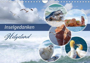 Insel Gedanken (Wandkalender 2023 DIN A4 quer) von Ziemer,  Astrid