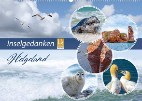 Insel Gedanken (Wandkalender 2024 DIN A2 quer) von Ziemer,  Astrid