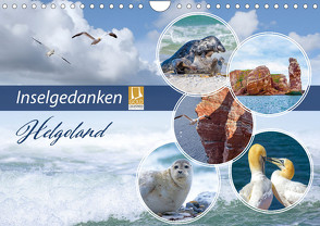 Insel Gedanken (Wandkalender 2024 DIN A4 quer) von Ziemer,  Astrid