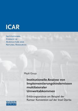 Institutionelle Analyse von Implementierungshindernissen multilateraler Umweltabkommen von Gouja,  Majdi