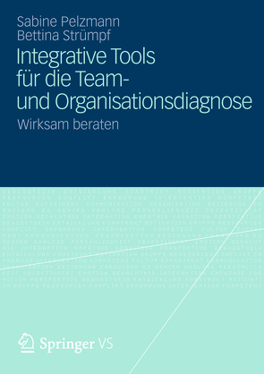 Integrative Tools für die Team- und Organisationsdiagnose von Pelzmann,  Sabine, Strümpf,  Bettina