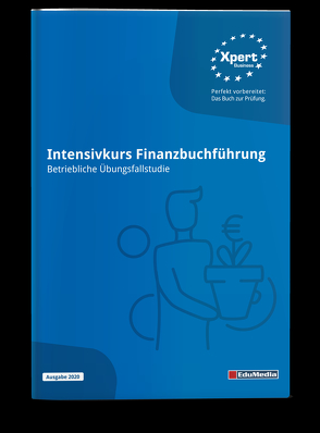 Intensivkurs Finanzbuchführung – Betriebliche Übungsfallstudie von Ernemann,  Sigmar