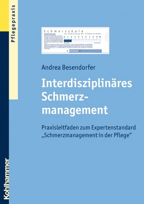 Interdisziplinäres Schmerzmanagement von Besendorfer,  Andrea