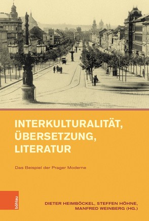 Interkulturalität, Übersetzung, Literatur von Bay,  Hansjörg, Heimböckel,  Dieter, Hirano,  Yoshihiro, Höhne,  Steffen, Kilcher,  Andreas, Klatt,  Anna Lena, Krappmann,  Jörg, Küpper,  Achim, Maurach,  Martin, Schneider,  Thomas, Spitz,  Malte, Stadler,  Ulrich, Stašková,  Alice, Teufel,  Annette, Thirouin,  Marie-Odile, Weinberg,  Manfred, Wöll,  Alexander, Wutsdorff,  irina, Zbytovsky,  Stepán