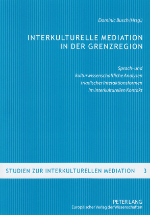 Interkulturelle Mediation in der Grenzregion von Busch,  Dominic