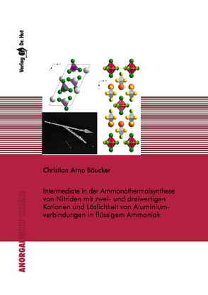 Intermediate in der Ammonothermalsynthese von Nitriden mit zwei- und dreiwertigen Kationen und Löslichkeit von Aluminiumverbindungen in füssigem Ammoniak von Bäucker,  Christian Arno