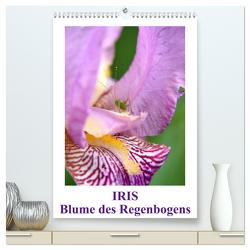 Iris, Blume des Regenbogens (hochwertiger Premium Wandkalender 2024 DIN A2 hoch), Kunstdruck in Hochglanz von Haas,  Willi