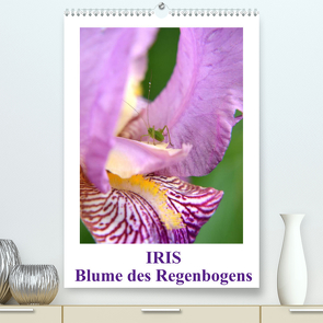 Iris, Blume des Regenbogens (Premium, hochwertiger DIN A2 Wandkalender 2022, Kunstdruck in Hochglanz) von Haas,  Willi