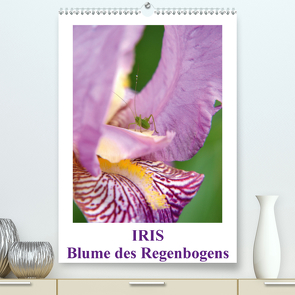 Iris, Blume des Regenbogens (Premium, hochwertiger DIN A2 Wandkalender 2020, Kunstdruck in Hochglanz) von Haas,  Willi