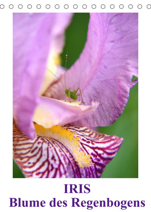 Iris, Blume des Regenbogens (Tischkalender 2022 DIN A5 hoch) von Haas,  Willi