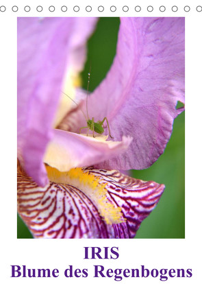 Iris, Blume des Regenbogens (Tischkalender 2023 DIN A5 hoch) von Haas,  Willi