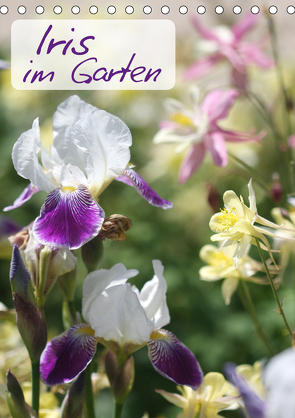 Iris im Garten (Tischkalender 2021 DIN A5 hoch) von Kruse,  Gisela